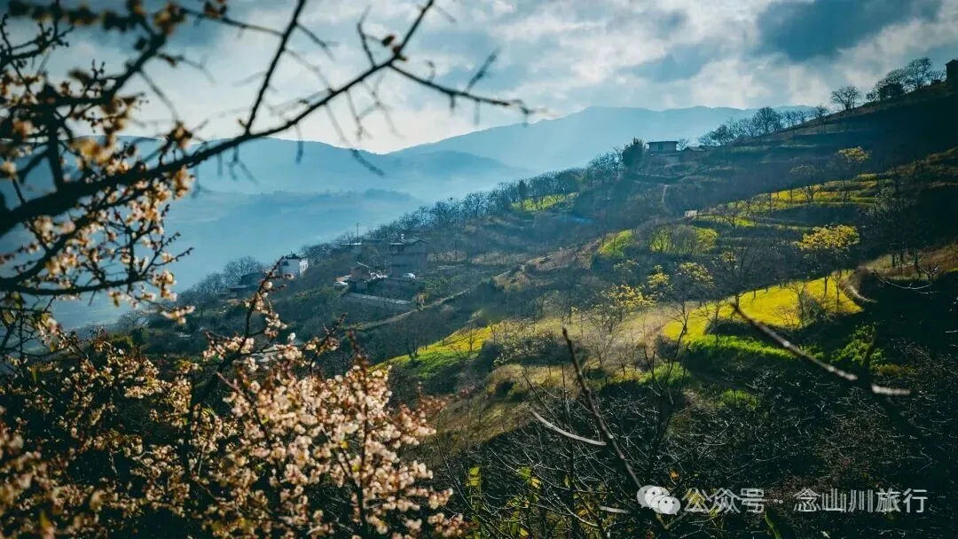冬日山中赏梅:不喧不争,自有光阴 - 第11张