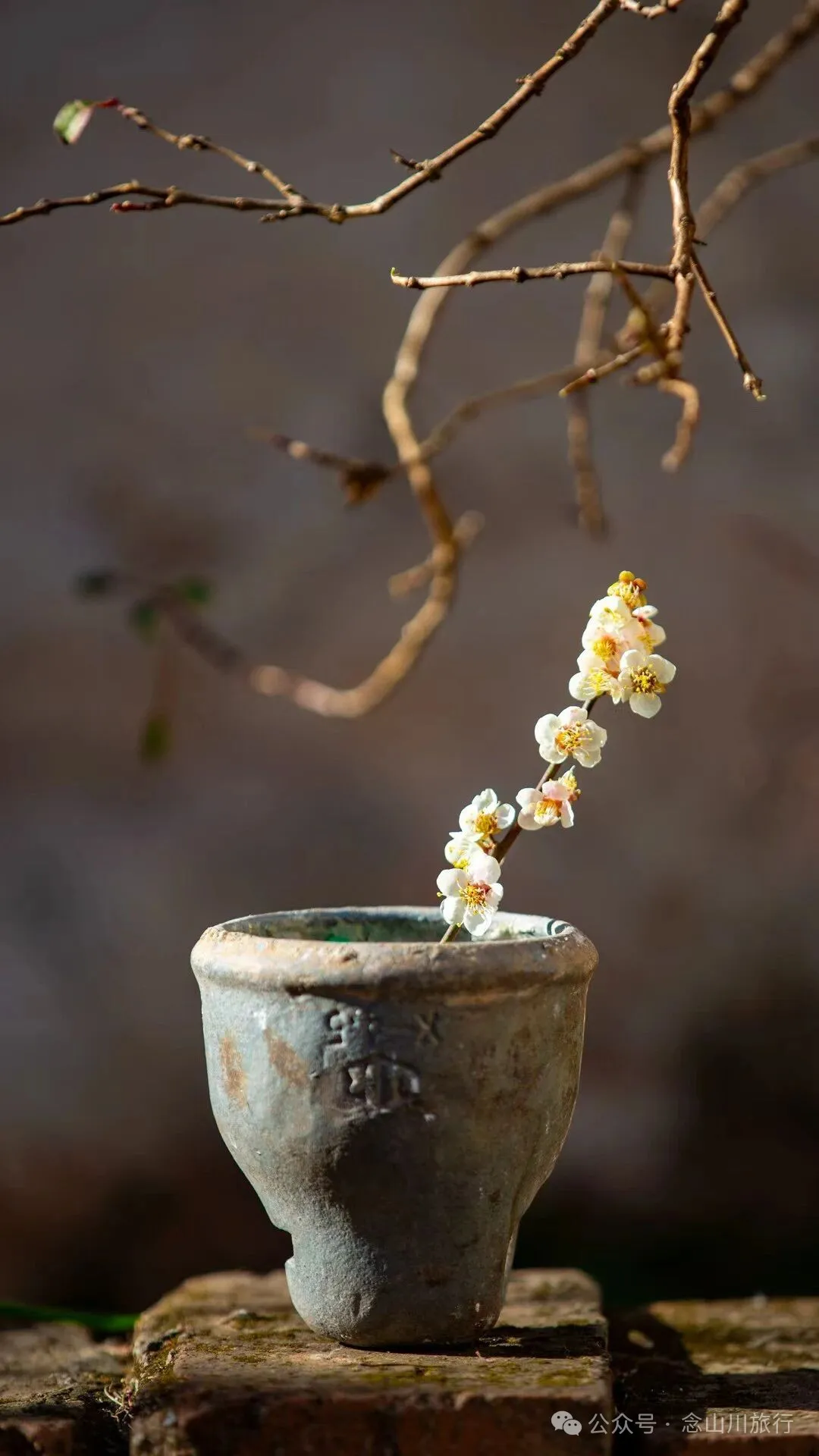 冬日山中赏梅:不喧不争,自有光阴 - 第16张