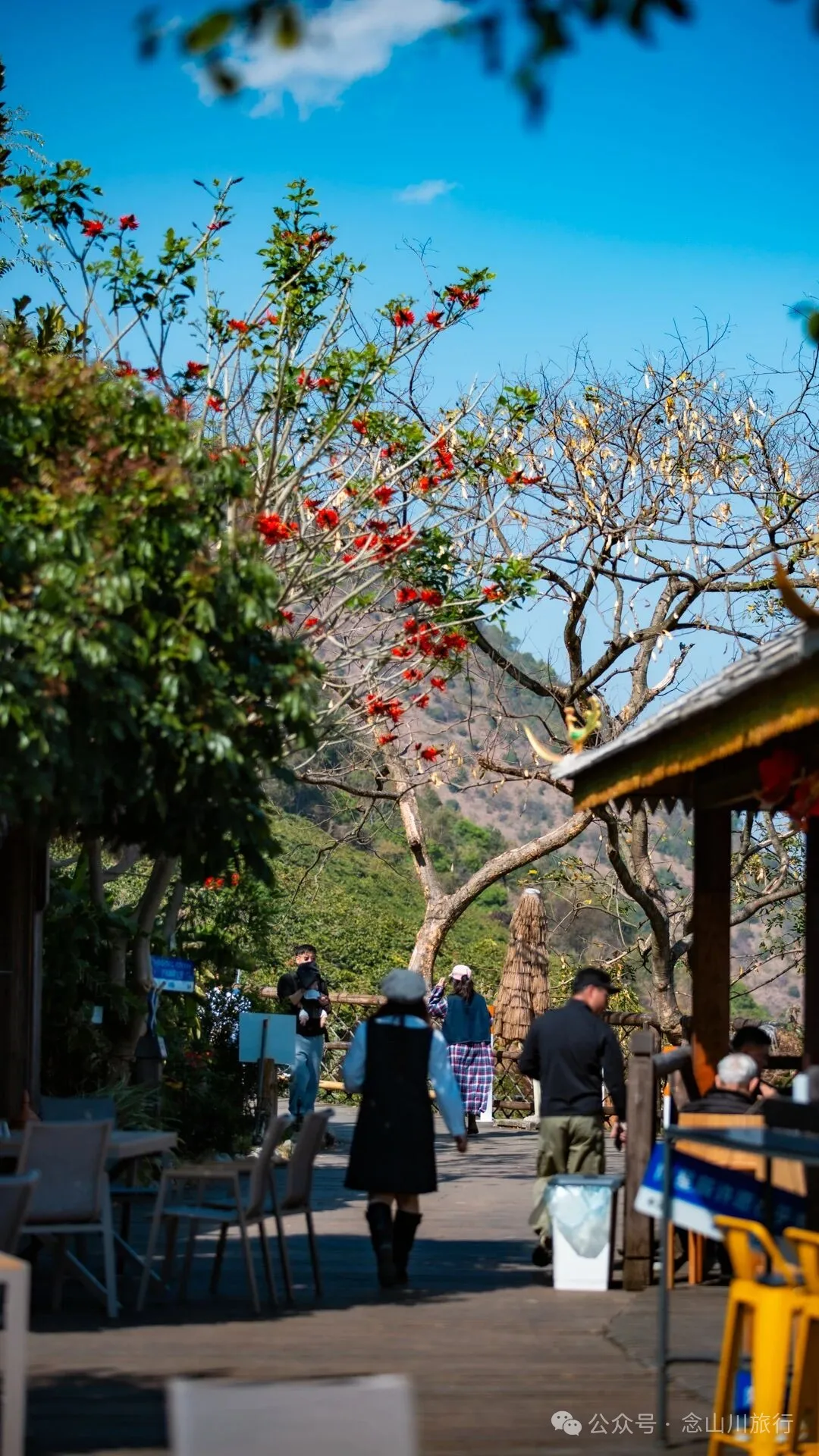 保山咖啡之旅：去高黎贡山间寻一片咖啡树的海洋，尽览潞江坝上风光 - 第13张