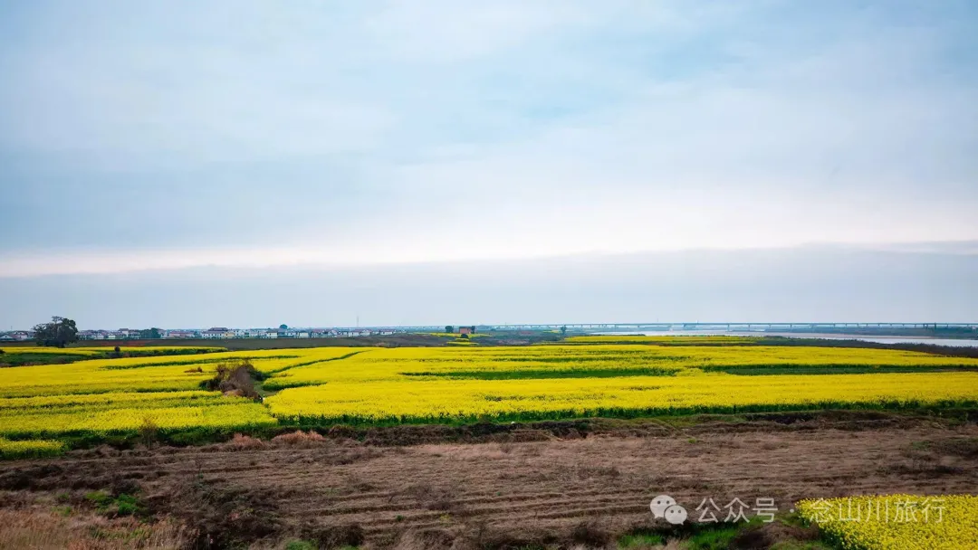 归乡之旅：从永修县城到九合乡饶家村，20公里长的河堤走不完40年乡愁 - 第1张