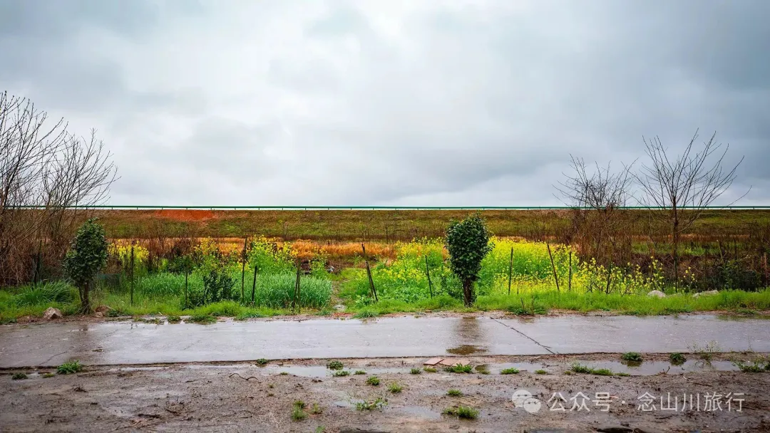 归乡之旅：从永修县城到九合乡饶家村，20公里长的河堤走不完40年乡愁 - 第17张