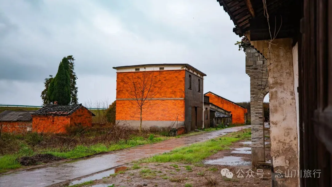 归乡之旅：从永修县城到九合乡饶家村，20公里长的河堤走不完40年乡愁 - 第19张