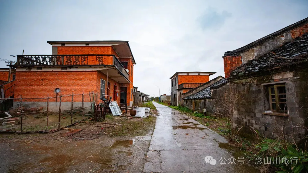 归乡之旅：从永修县城到九合乡饶家村，20公里长的河堤走不完40年乡愁 - 第20张