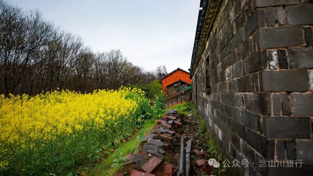 归乡之旅：从永修县城到九合乡饶家村，20公里长的河堤走不完40年乡愁 - 第21张