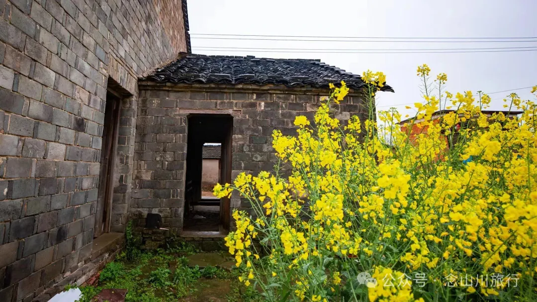 归乡之旅：从永修县城到九合乡饶家村，20公里长的河堤走不完40年乡愁 - 第22张