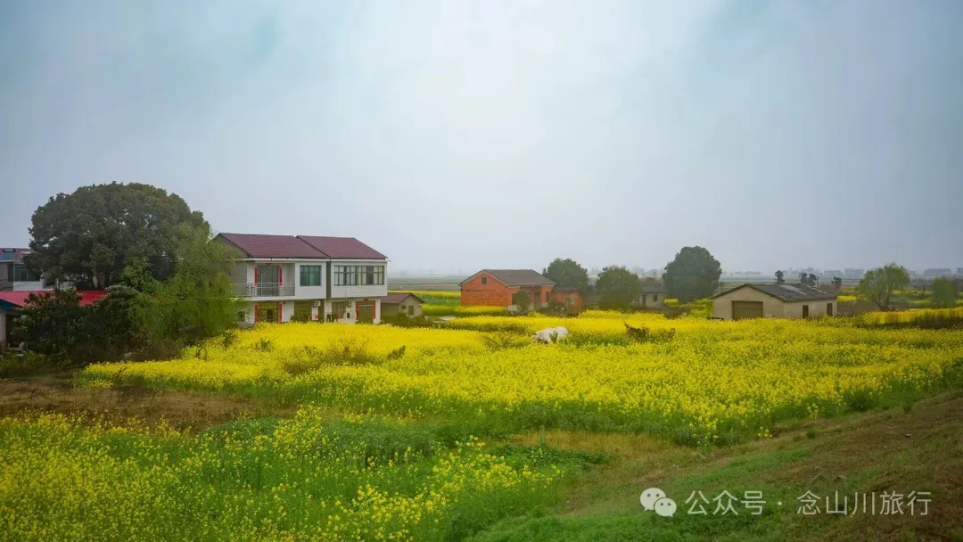 归乡之旅：从永修县城到九合乡饶家村，20公里长的河堤走不完40年乡愁 - 第5张