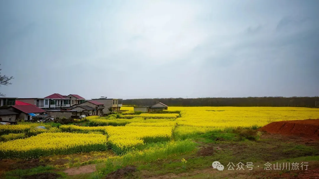 归乡之旅：从永修县城到九合乡饶家村，20公里长的河堤走不完40年乡愁 - 第6张