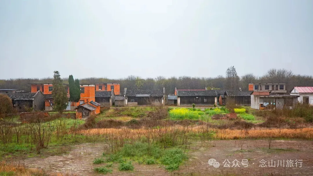 归乡之旅：从永修县城到九合乡饶家村，20公里长的河堤走不完40年乡愁 - 第8张