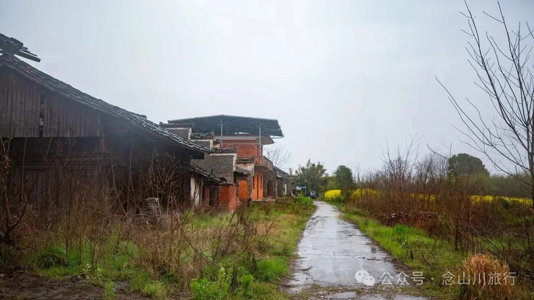 归乡之旅：从永修县城到九合乡饶家村，20公里长的河堤走不完40年乡愁 - 第9张