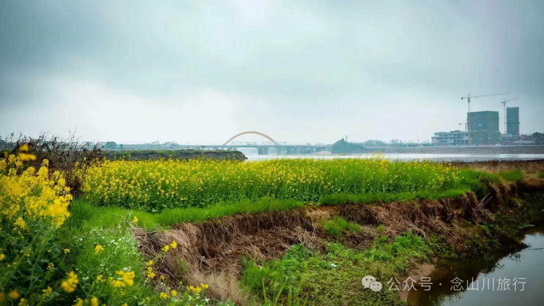 修河漫步:忆一些逃难的日子以及在河边用罾子扳虾的美好夏日黄昏 - 第1张