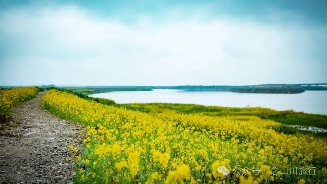 修河漫步:忆一些逃难的日子以及在河边用罾子扳虾的美好夏日黄昏 - 第14张