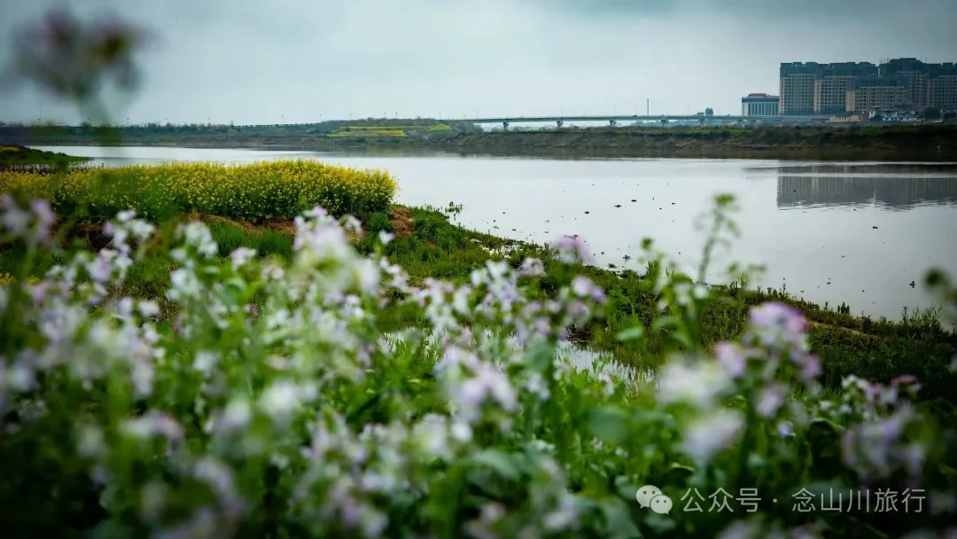 修河漫步:忆一些逃难的日子以及在河边用罾子扳虾的美好夏日黄昏 - 第15张