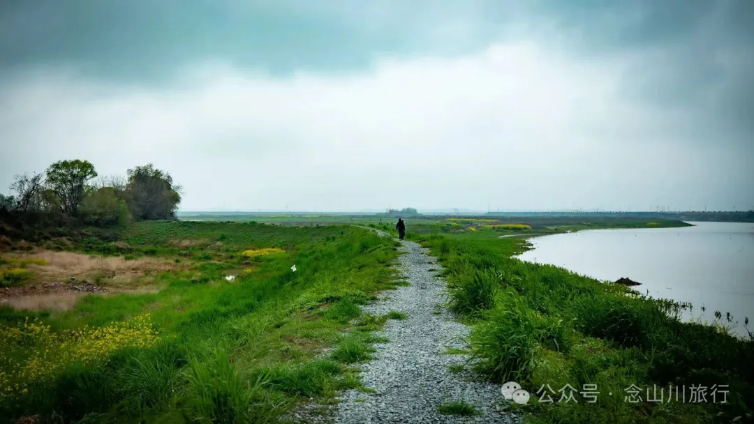 修河漫步:忆一些逃难的日子以及在河边用罾子扳虾的美好夏日黄昏 - 第3张