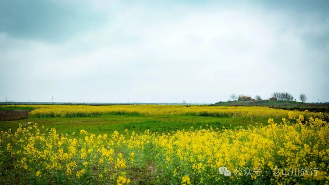 修河漫步:忆一些逃难的日子以及在河边用罾子扳虾的美好夏日黄昏 - 第4张