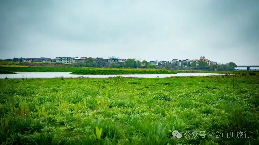 修河漫步:忆一些逃难的日子以及在河边用罾子扳虾的美好夏日黄昏 - 第5张