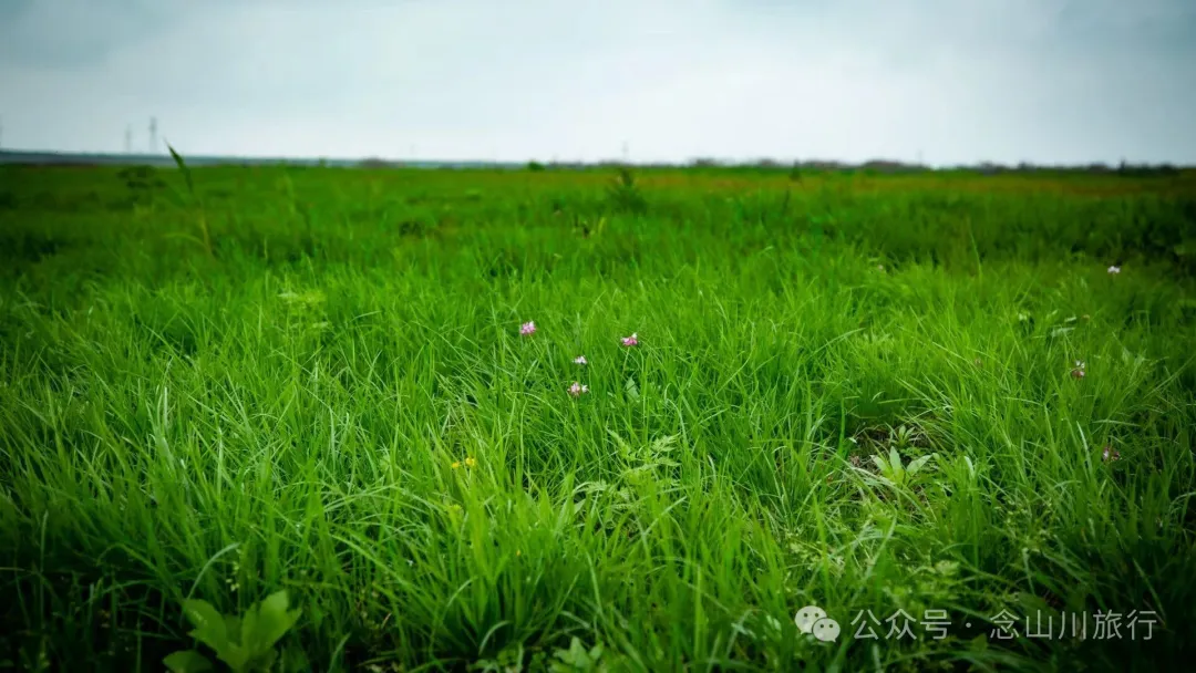 修河漫步:忆一些逃难的日子以及在河边用罾子扳虾的美好夏日黄昏 - 第6张