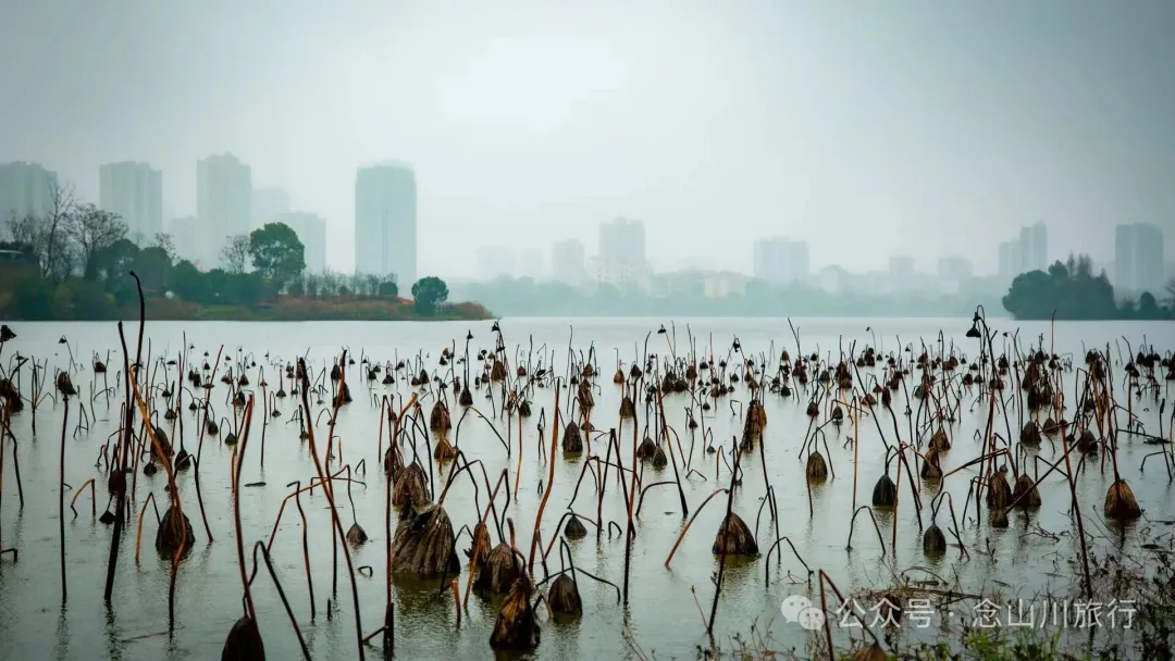 永修琐记:我的妈哟,这些不是破烂,是我们曾经的生活啊 - 第1张