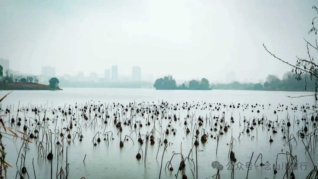 永修琐记:我的妈哟,这些不是破烂,是我们曾经的生活啊 - 第13张