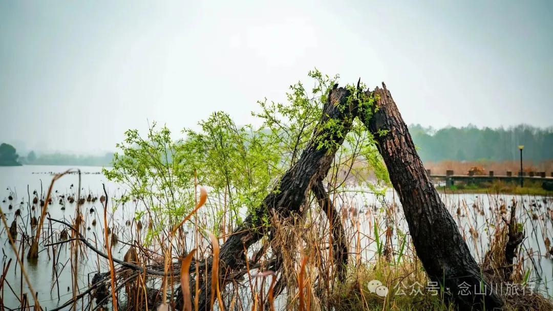 永修琐记:我的妈哟,这些不是破烂,是我们曾经的生活啊 - 第14张