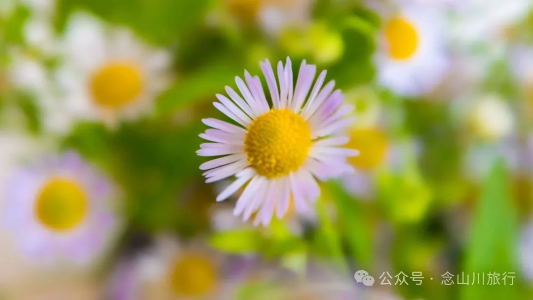 永修琐记:我的妈哟,这些不是破烂,是我们曾经的生活啊 - 第3张