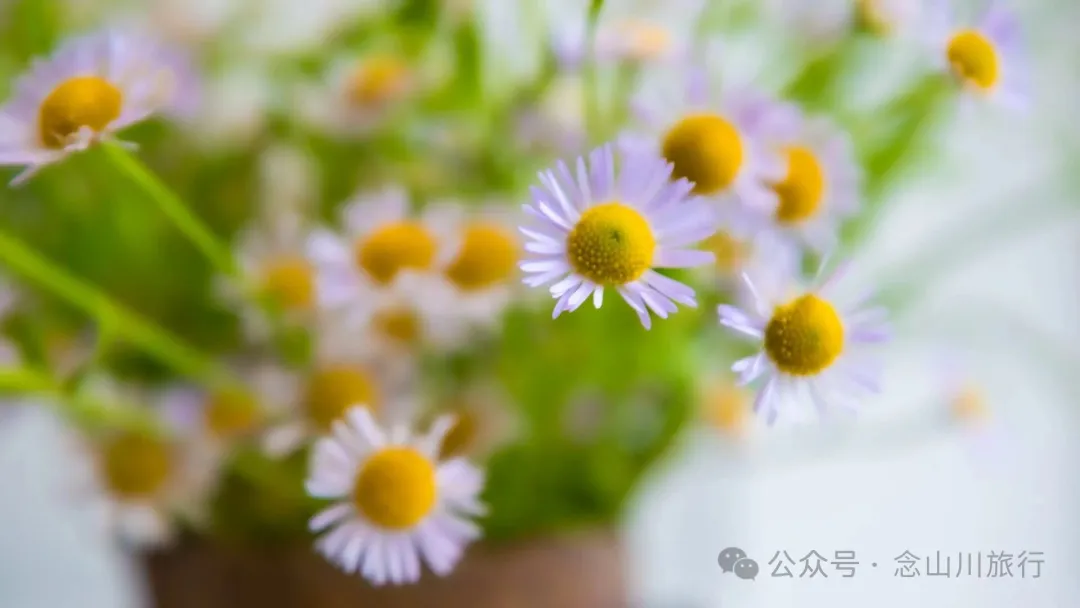 永修琐记:我的妈哟,这些不是破烂,是我们曾经的生活啊 - 第7张