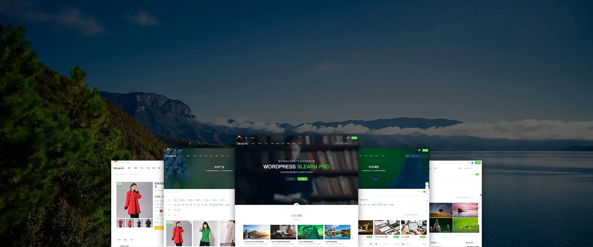 WORDPRESS SLEARN PRO